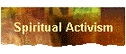 Spiritual Activism