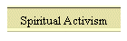 Spiritual Activism