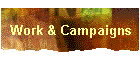 Work & Campaigns